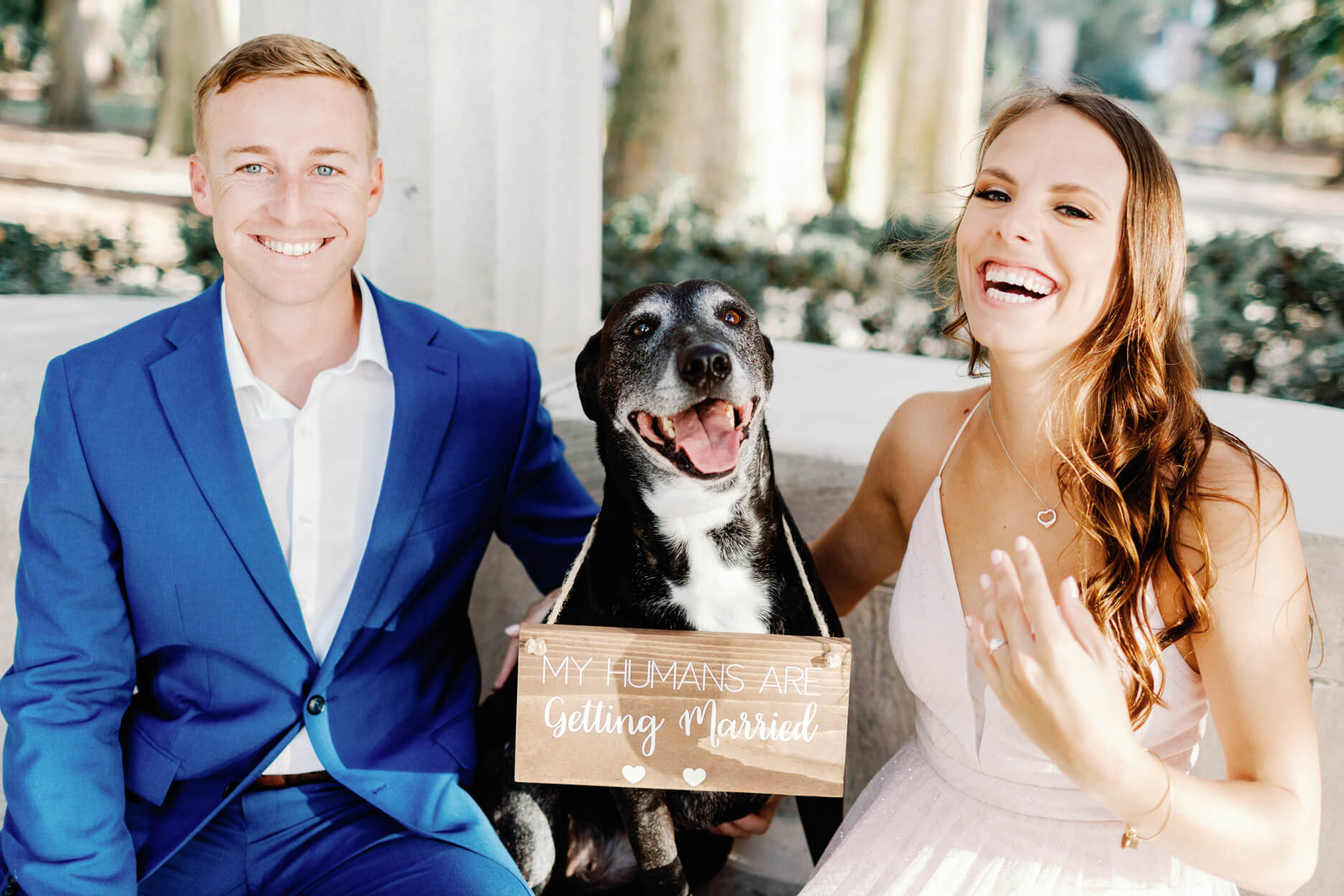 Engaged couple poses with their dog holding a sing announcing their engagement at Kraft Azalea Garden in Winter Park FL