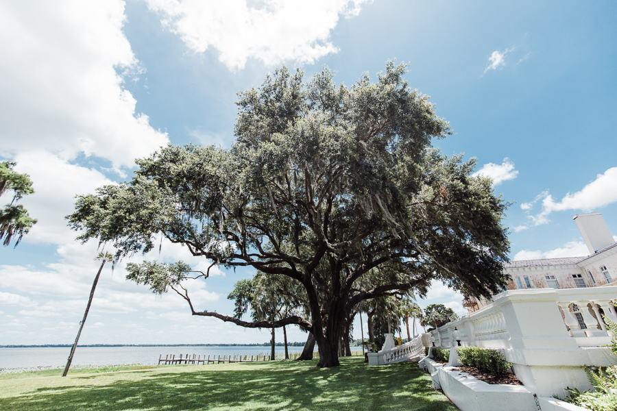 large tree by a lake in a Florida wedding venue called Bella Cosa