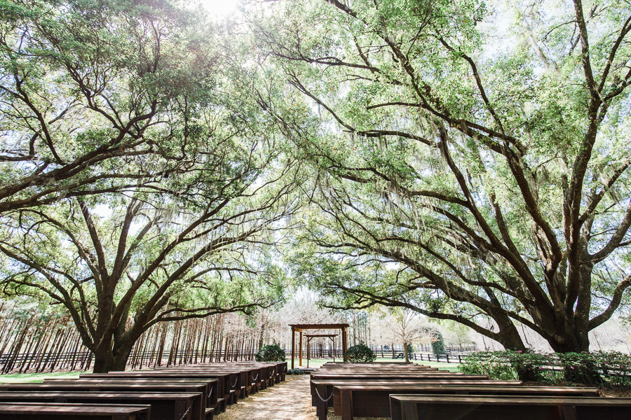 ceremony site in a Florida wedding venue with rustic wooden benches under a canopy of large trees