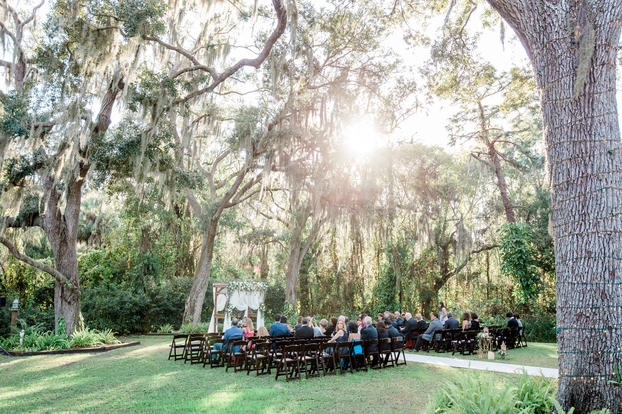 Wedding ceremony site in a lush garden with sun rays cutting through tall trees