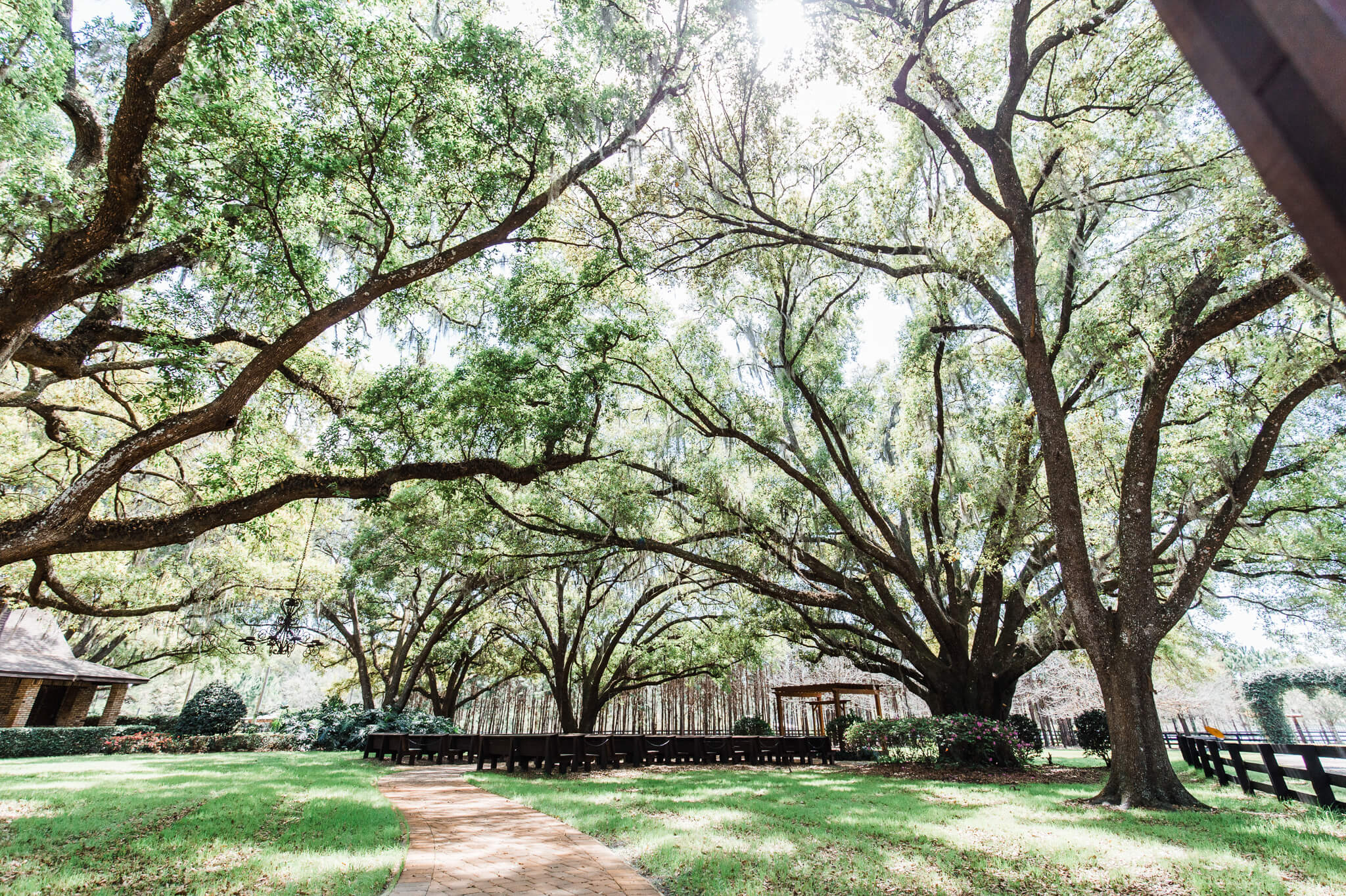wooden benches in a lush garden for a wedding ceremony underneath a canopy of large oak trees at outdoor venues in central FL