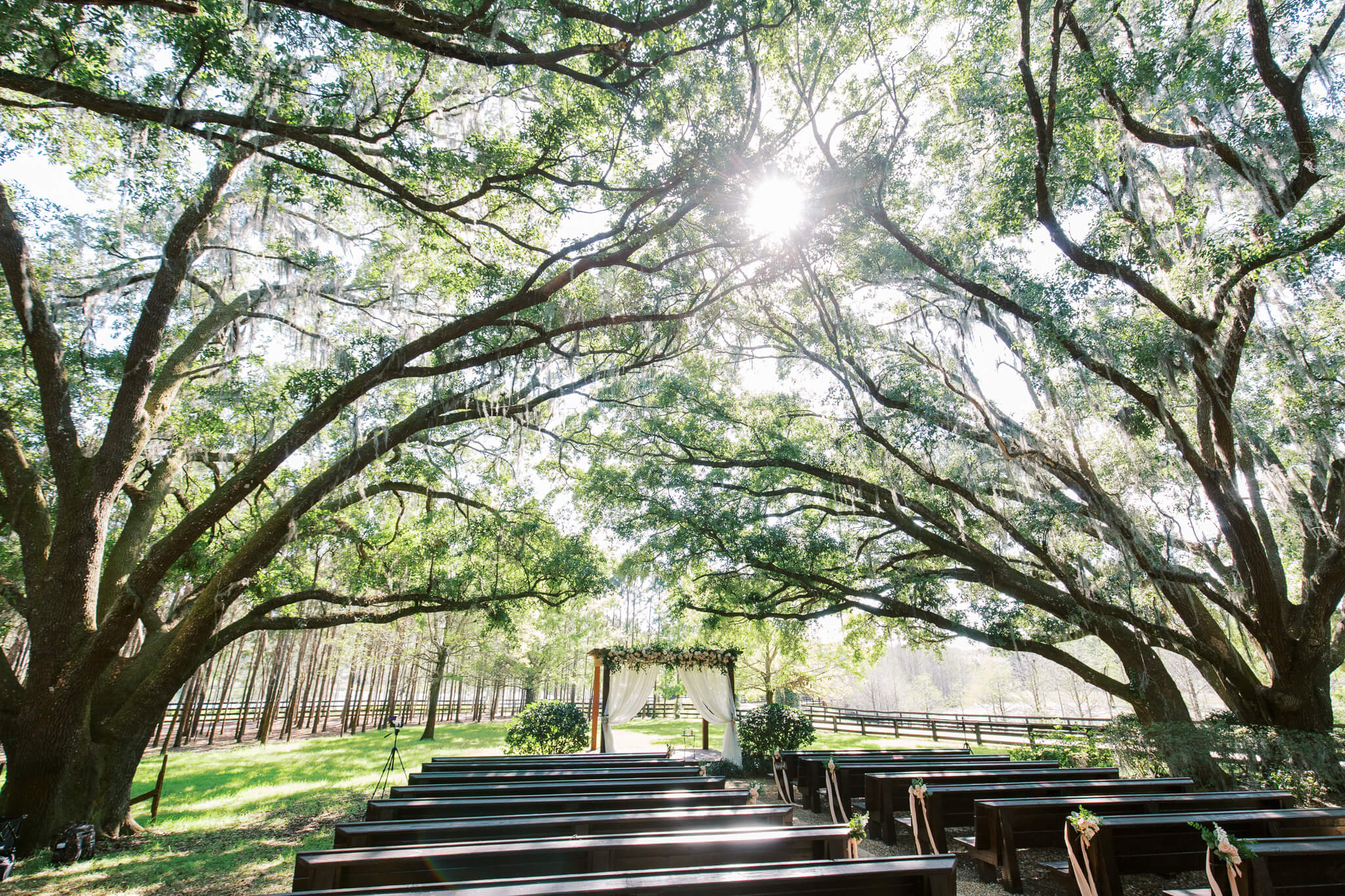 wooden benches in a lush garden for a wedding ceremony underneath a canopy of large oak trees