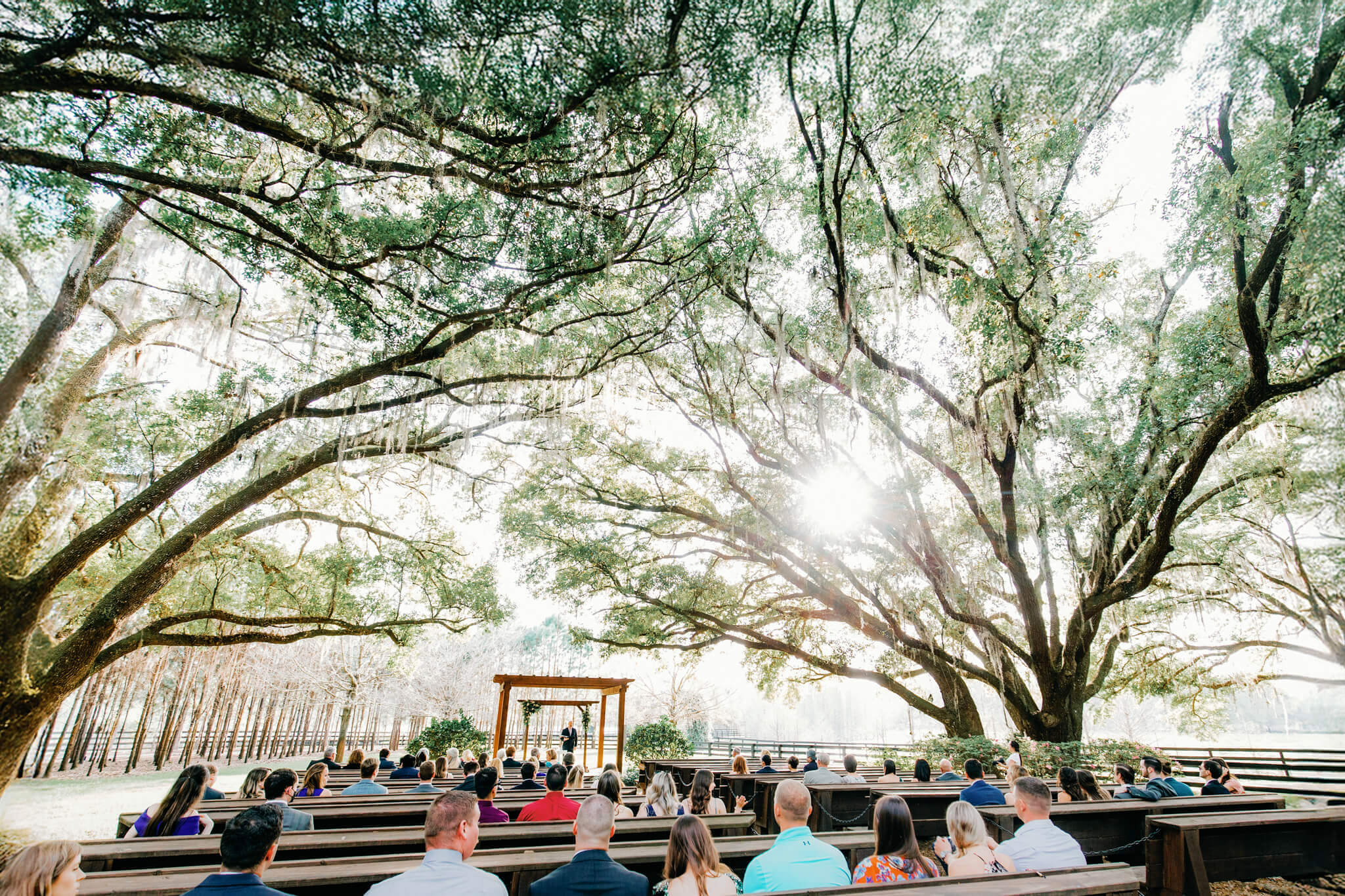 ceremony site with wooden pews in a lush garden under large oak trees at an outdoor wedding venue in Central FL