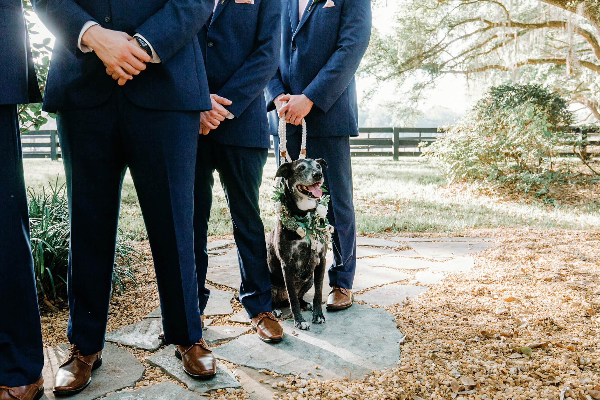 a black dog with wedding flowers around its neck is included in the bridal party at Club Lake Venue