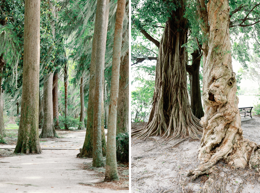 large trees at an Orlando wedding venue