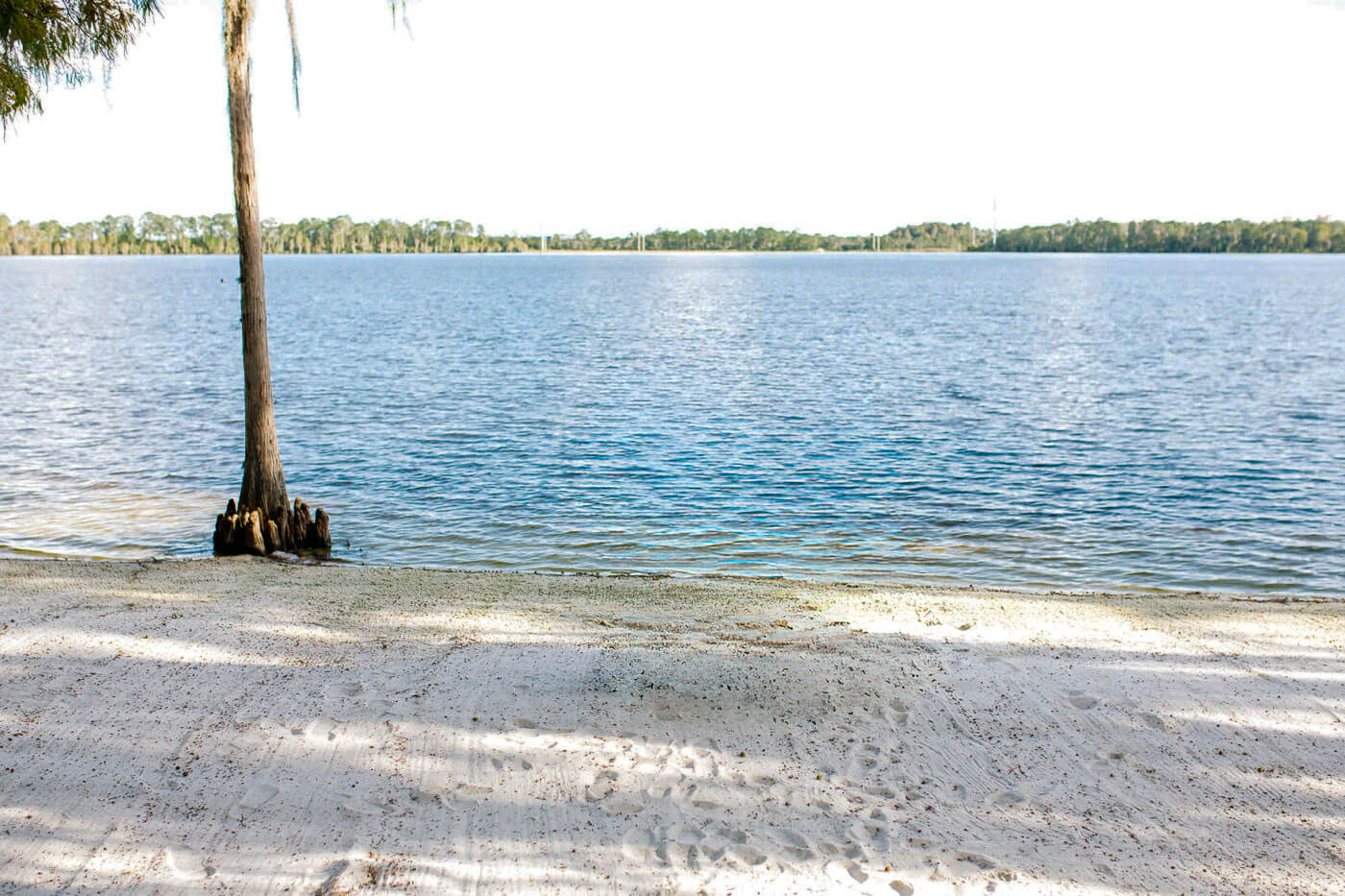 Lakeside view at Paradise Cover Orlando wedding venue