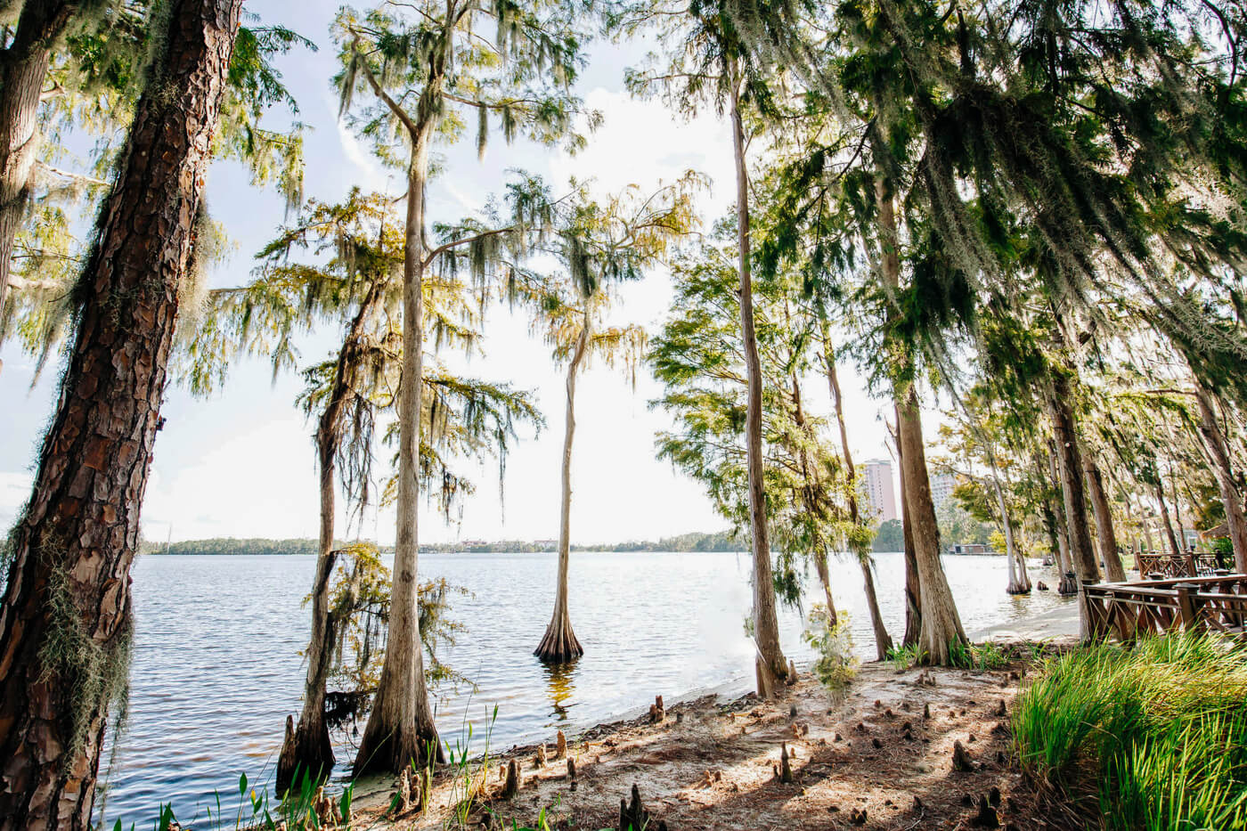 Lake beach at Paradise Cover, an Orlando wedding venue