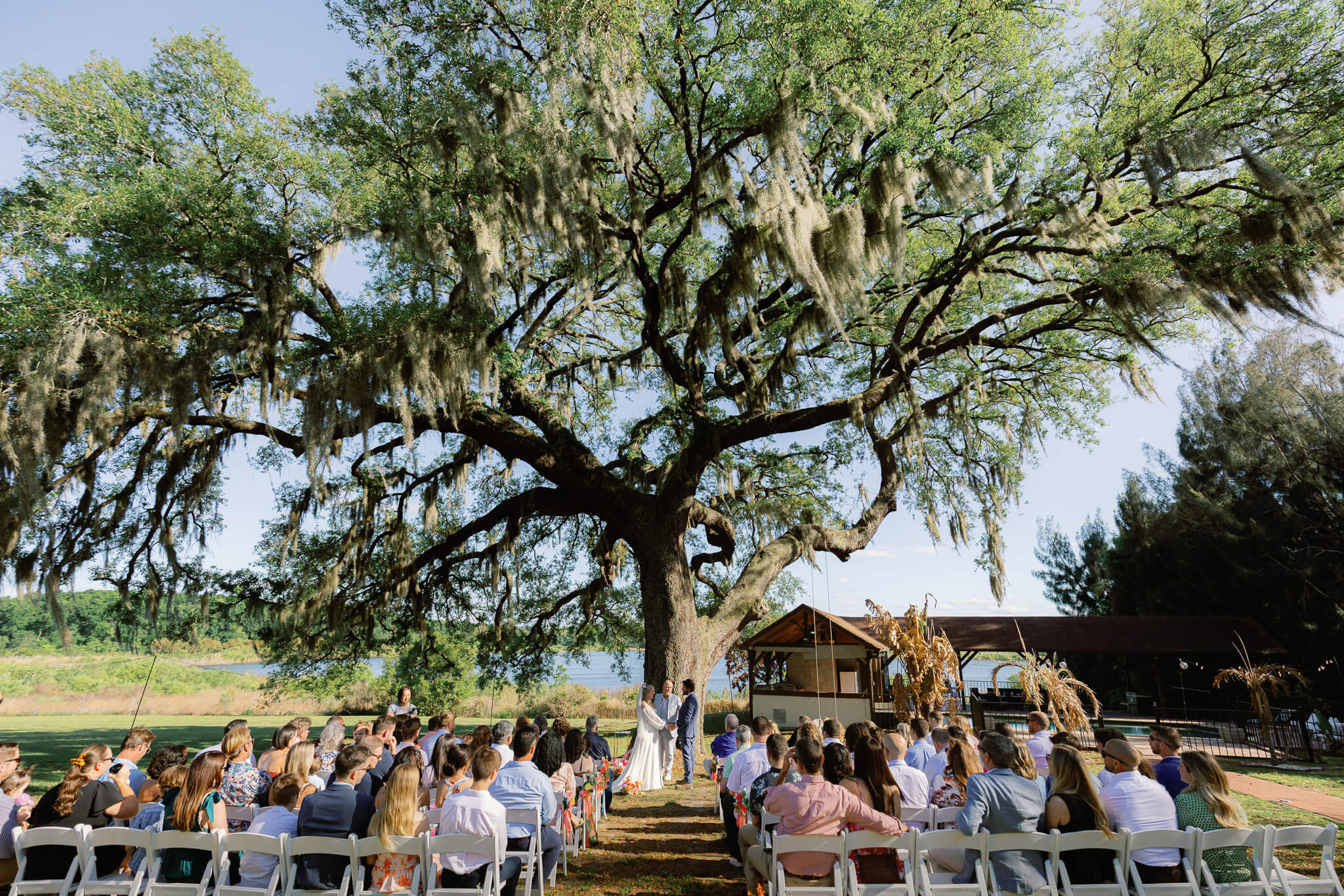 Orlando wedding venue with a lake view under a large tree at Lake Lucy Estate