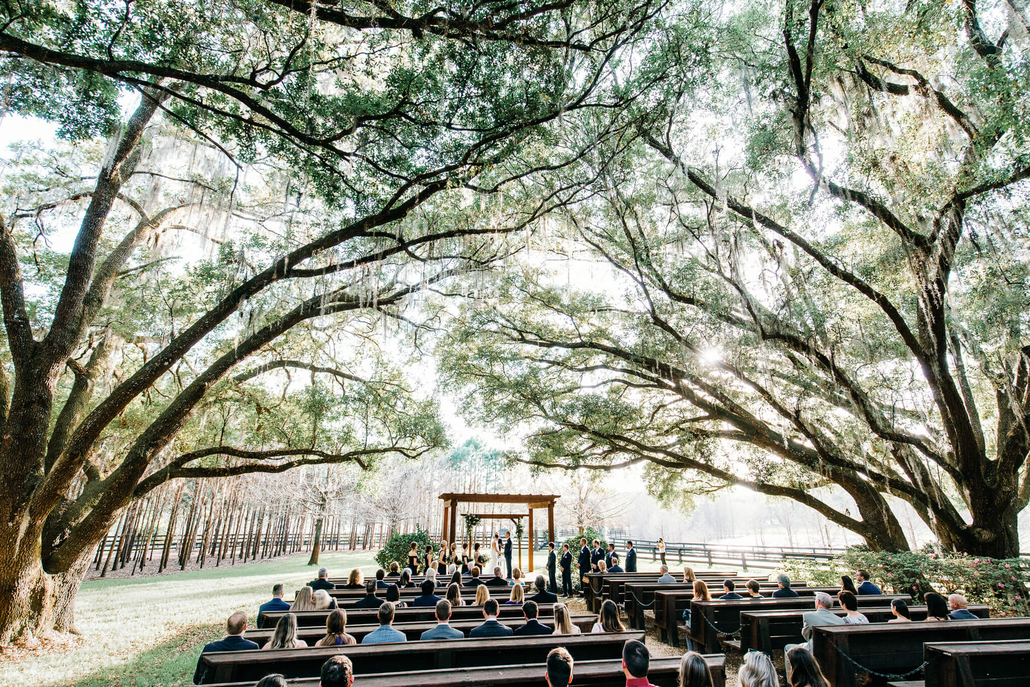 Rustic countryside Florida wedding ceremony under a canopy of trees