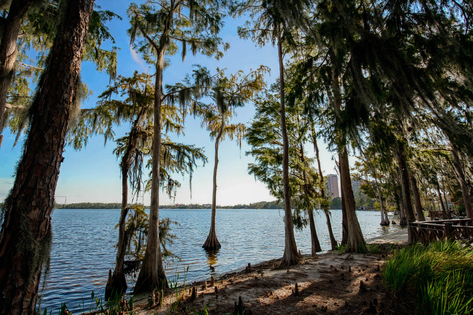 Lakeside view of elopement venue in Orlando called Paradise Cove