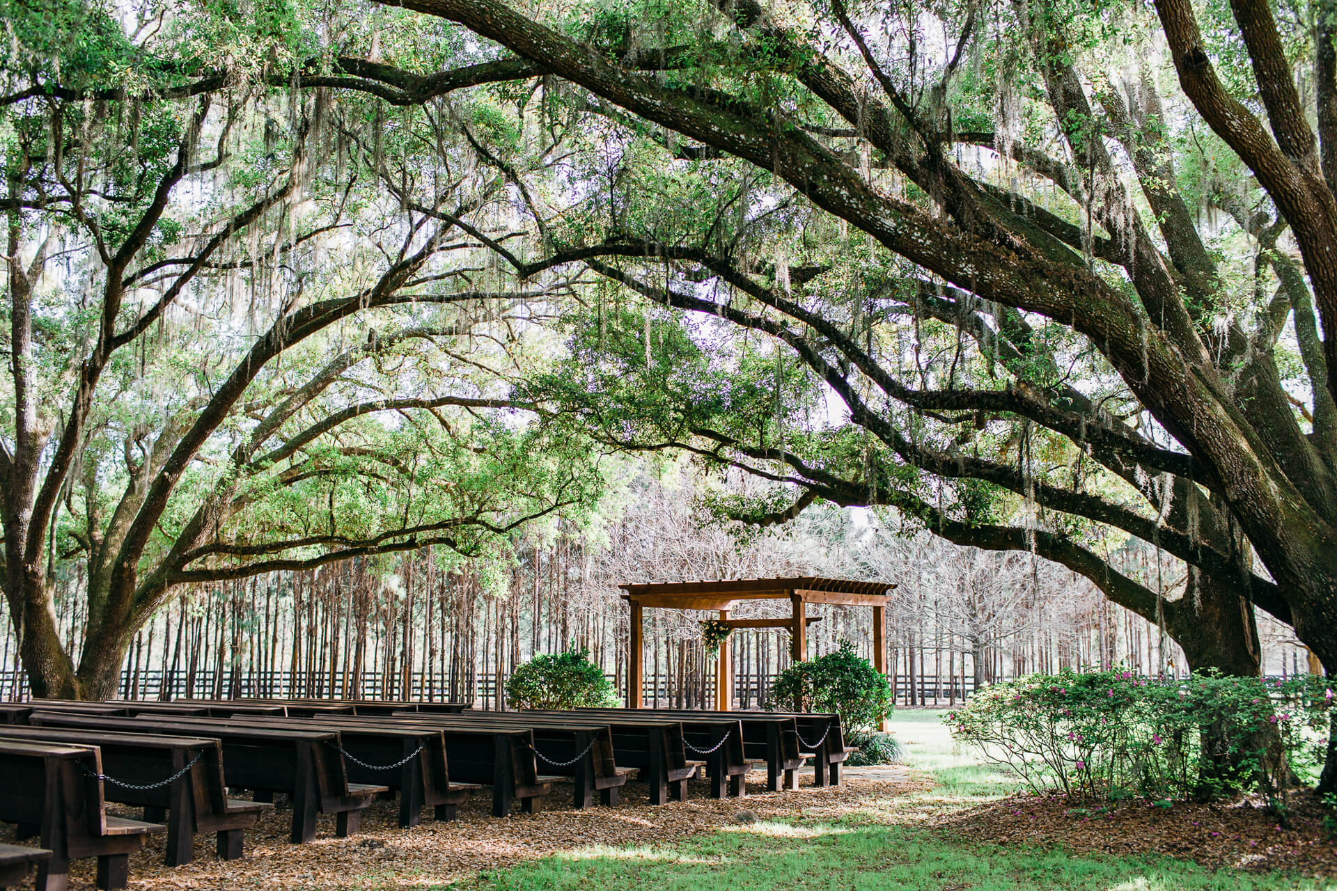 Beautiful venue under trees for elopement ceremony in Orlando