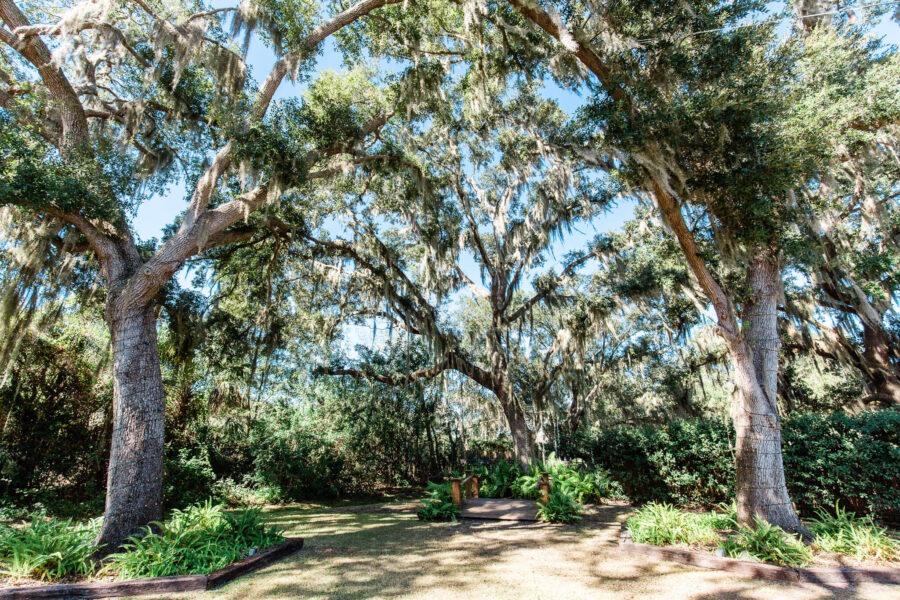 ceremony site with a wooden bridge in a lush garden