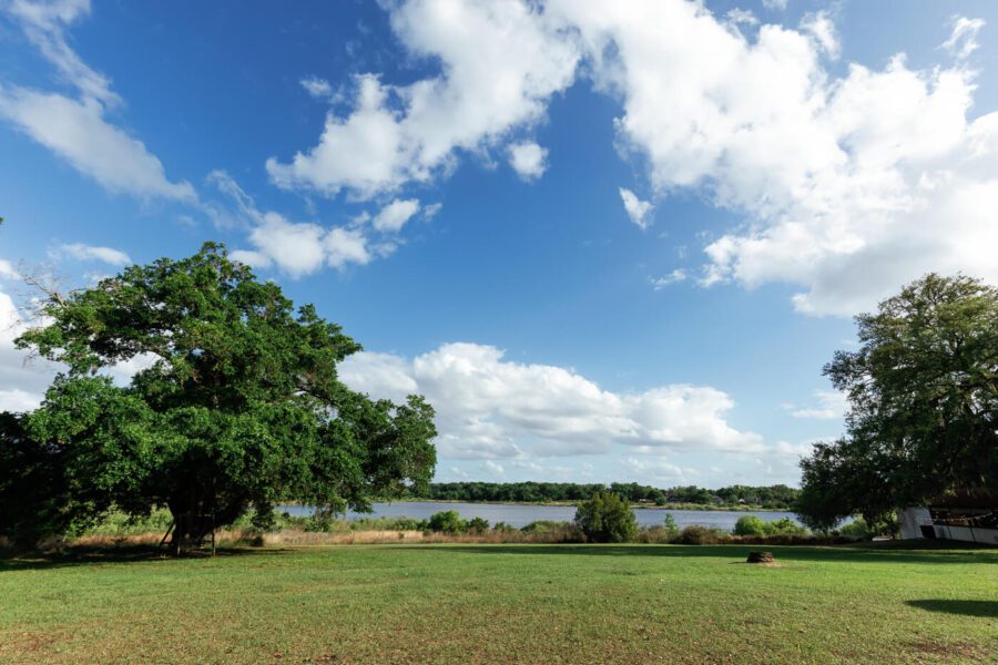 lakeside view under a blue sky on a sunny day