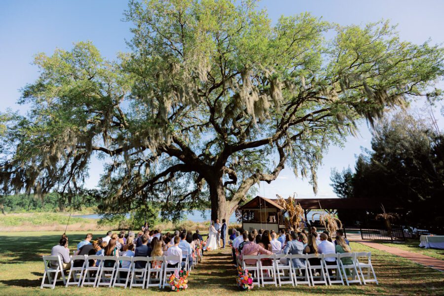 wide angle view of a wedding ceremony under a tree at Lake Lucy Estate