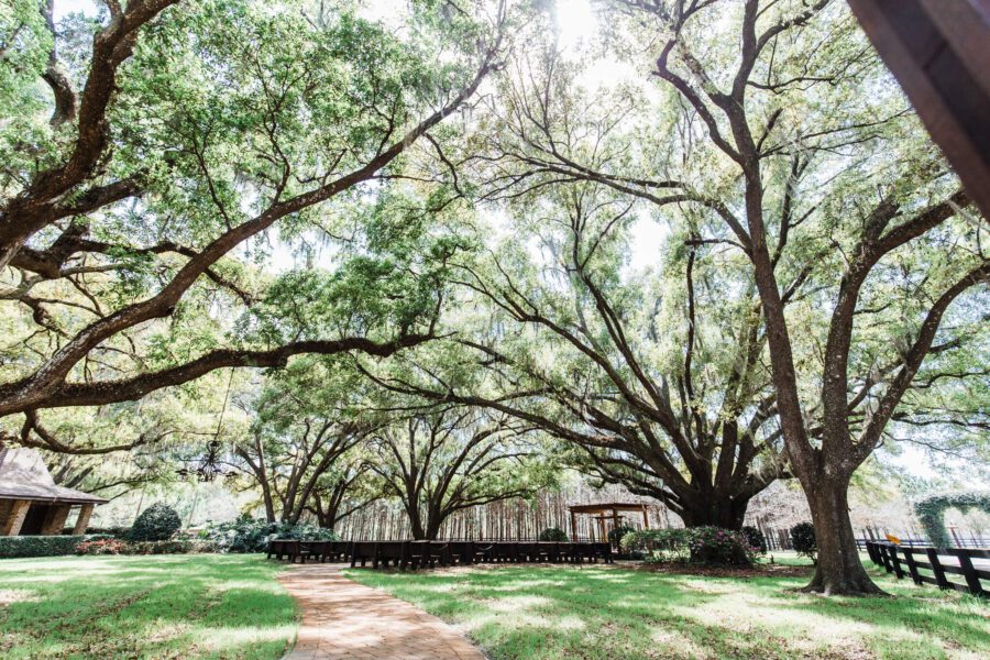 beautiful wedding venue surrounded by lush nature and large oak trees
